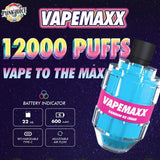 Vault Vape Vapemaxx 12,000 (12k) 5% Disposable Pod